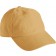 color:camel